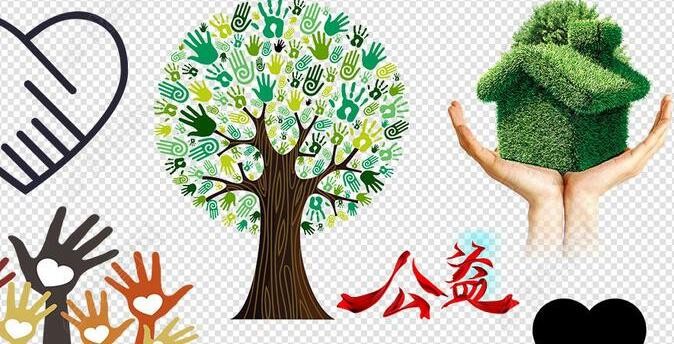 【公益行】政府助力公司上阵 贫困村炼成“网红村”