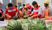 【公益行】陕西朱鹮保护区今年累计救助朱鹮158只